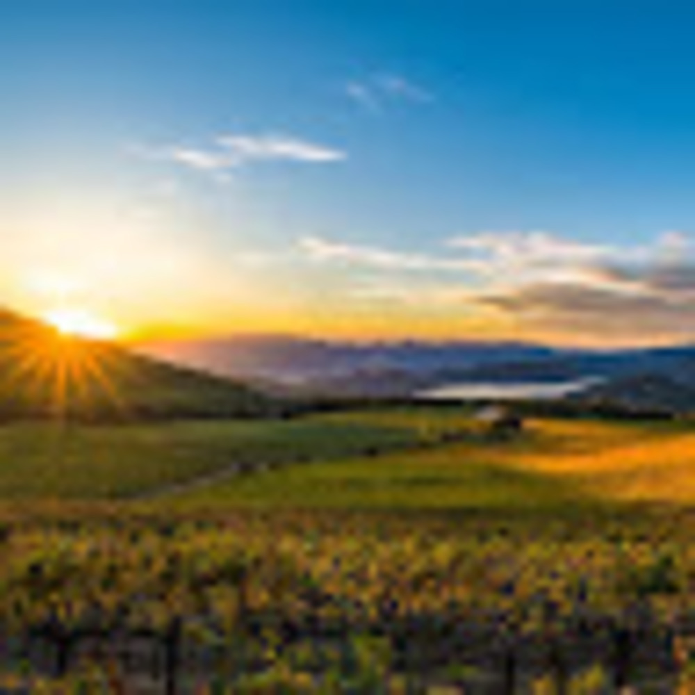 Meet your Posher, M.k.